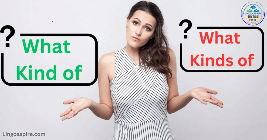 Key Differences Between What Kind of vs. What Kinds of