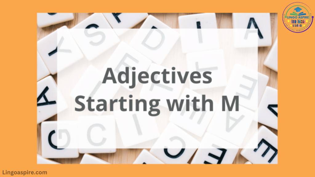 Full List of Adjectives That Start with M