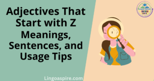 Adjectives That Start with Z